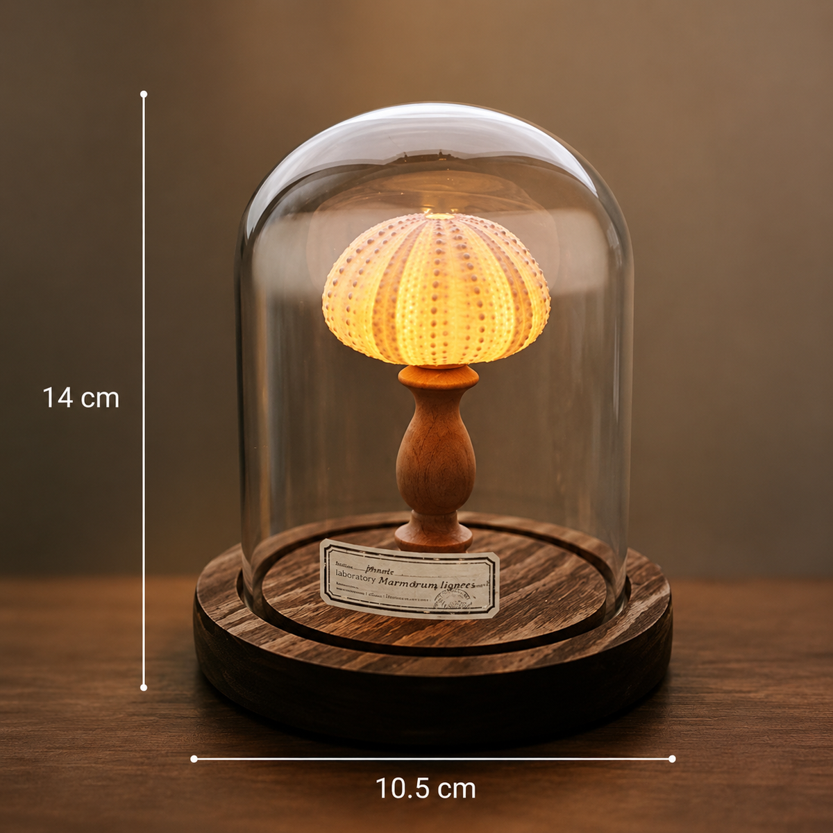 Maison Aurelia Glow Lamp